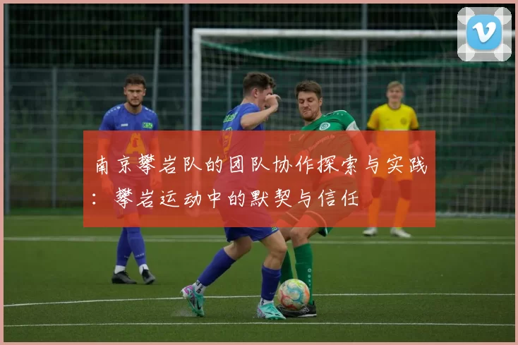 南京攀岩队的团队协作探索与实践：攀岩运动中的默契与信任