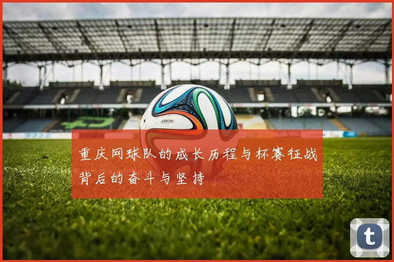 重庆网球队的成长历程与杯赛征战背后的奋斗与坚持