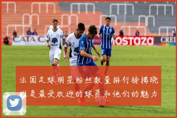 法国足球明星粉丝数量排行榜揭晓谁是最受欢迎的球员和他们的魅力秘诀