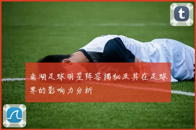 南湖足球明星阵容揭秘及其在足球界的影响力分析