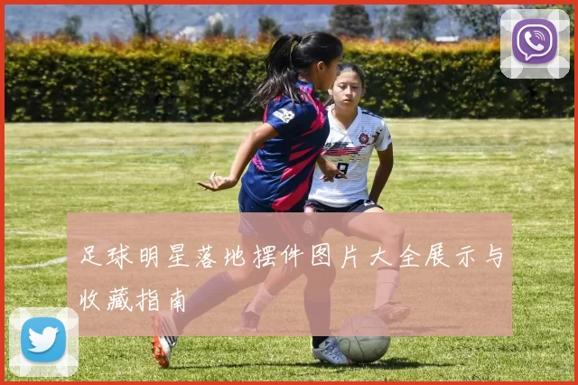 足球明星落地摆件图片大全展示与收藏指南