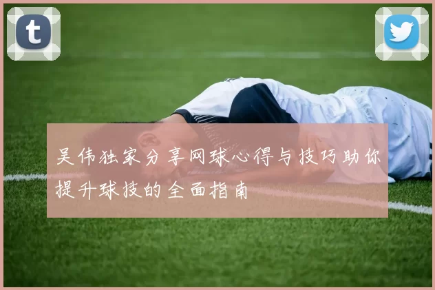 吴伟独家分享网球心得与技巧助你提升球技的全面指南