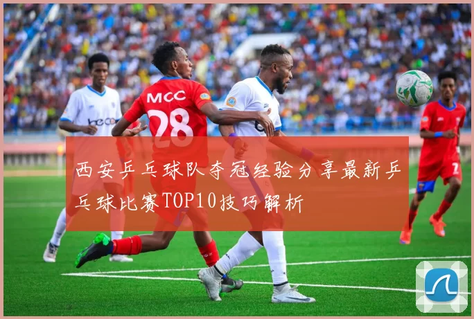 西安乒乓球队夺冠经验分享最新乒乓球比赛TOP10技巧解析