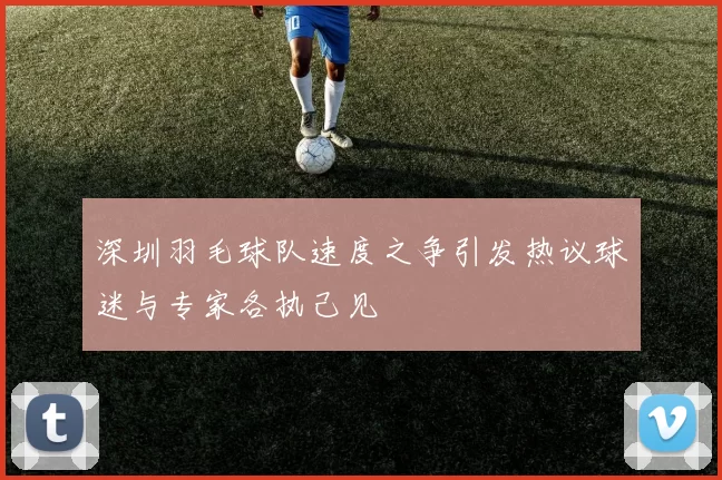 深圳羽毛球队速度之争引发热议球迷与专家各执己见