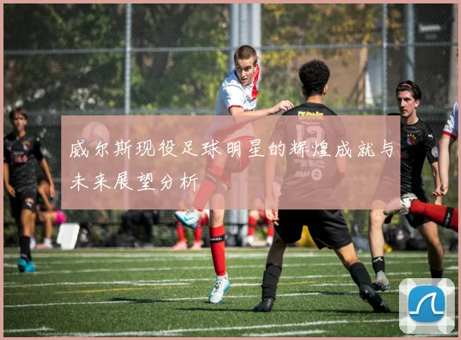 威尔斯现役足球明星的辉煌成就与未来展望分析