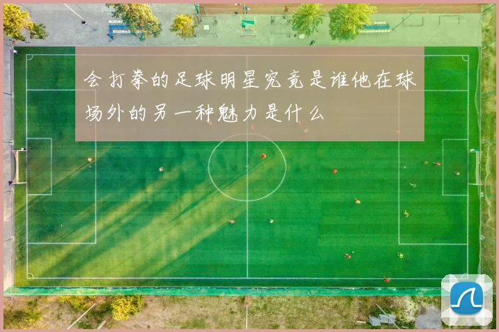 会打拳的足球明星究竟是谁他在球场外的另一种魅力是什么