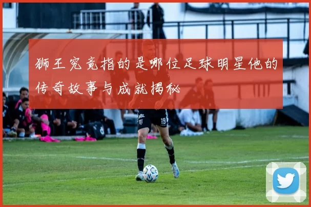 狮王究竟指的是哪位足球明星他的传奇故事与成就揭秘