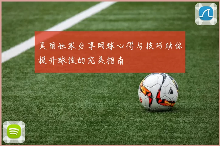 吴丽独家分享网球心得与技巧助你提升球技的完美指南