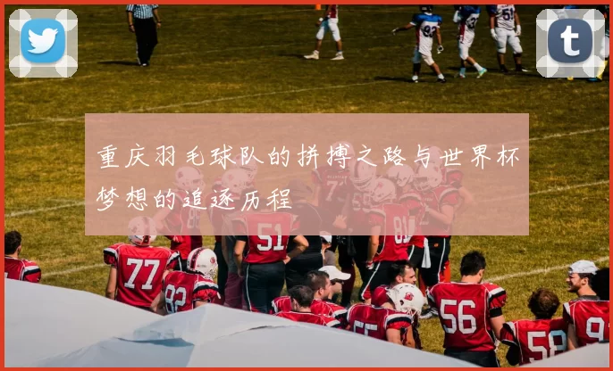 重庆羽毛球队的拼搏之路与世界杯梦想的追逐历程