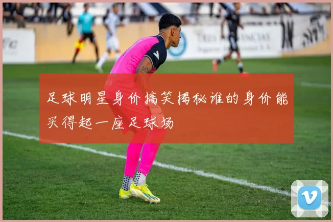 足球明星身价搞笑揭秘谁的身价能买得起一座足球场