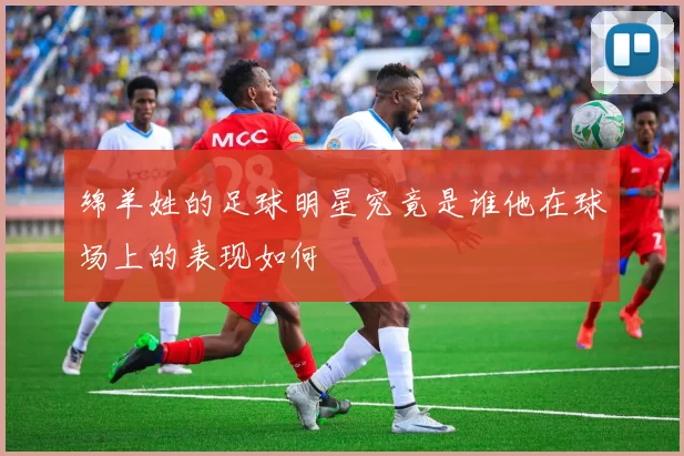 绵羊姓的足球明星究竟是谁他在球场上的表现如何