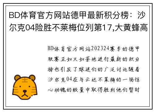 BD体育官方网站德甲最新积分榜：沙尔克04险胜不莱梅位列第17,大黄蜂高居榜首 - 副本